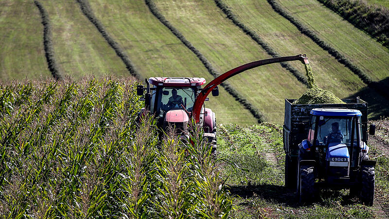 foto: VOLKER WEIHBOLD landwirtschaft traktor ernte neufelden