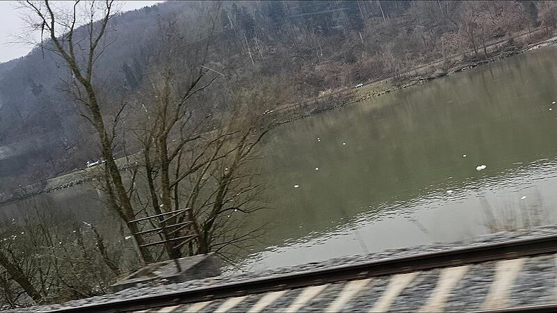 Donau zwischen Puchenau und Linz weiße Objekte auf dem Wasser