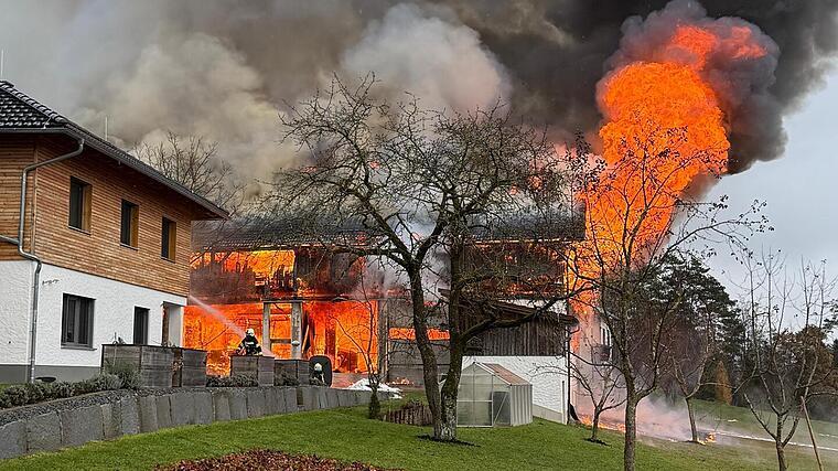 Großbrand bei Bio-Betrieb: Kräutertrocknungshalle komplett abgebrannt