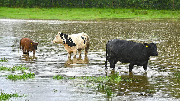 Floods in Upper Austria