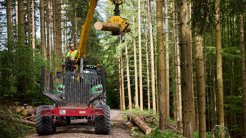 Rückewagen Holztransport Holzbringung