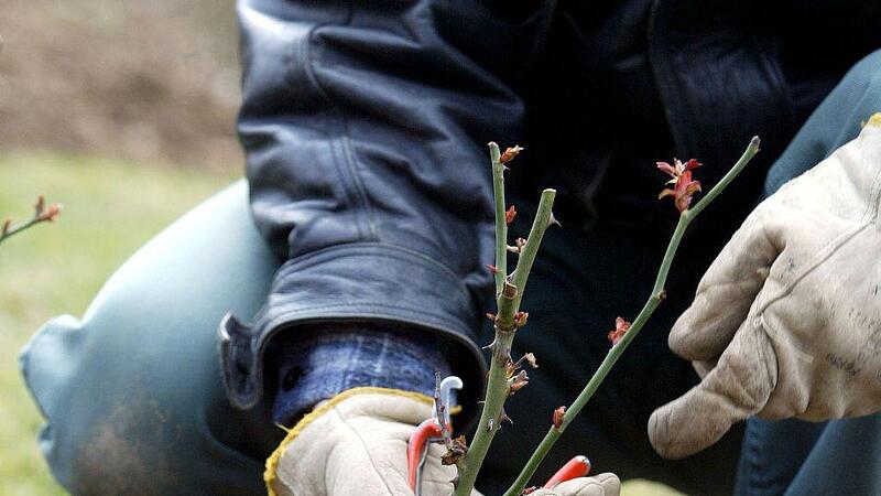 Garten-Checkliste