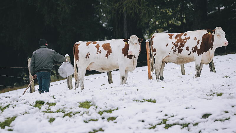 ++ THEMENBILD ++ UNWETTER: SITUATION IN SALZBURG