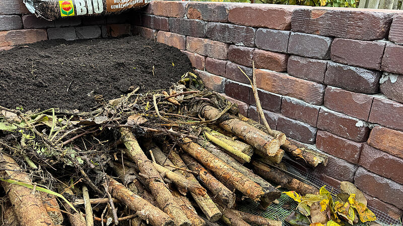 Gartenfragen im herbst