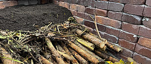 Gartenfragen im herbst