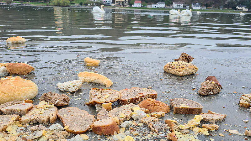 Säckeweise altes Brot am Donaustrand abgeladen