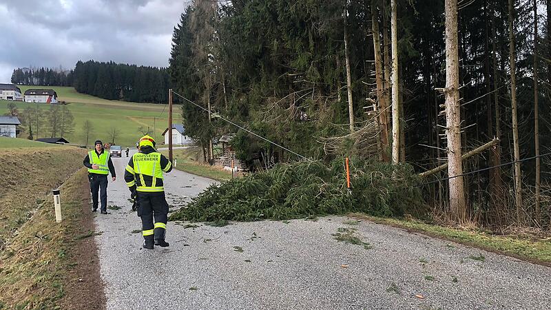 Zwettl an der Rodl Sturmeinsatz