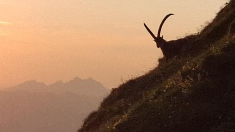 Öffi-Weitwandern in der Schweiz