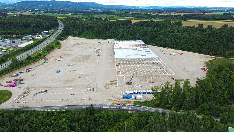 Langwierige Ermittlungen in der Causa Ohlsdorf: Allein der Rodungsakt umfasst 3800 Seiten