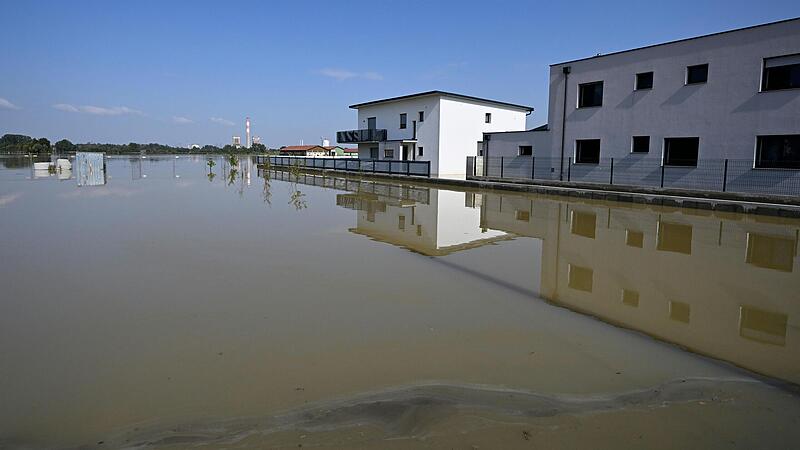 UNWETTER: SITUATION IN NIEDERSTERREICH: MOOSBIERBAUM