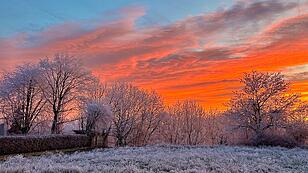 Leseraufruf Morgenstimmung