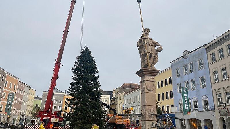 Ried hat seit gestern einen Christbaum