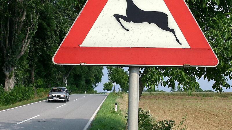 Richtiges Verhalten bei Wildunfällen: Was Autofahrer beachten müssen