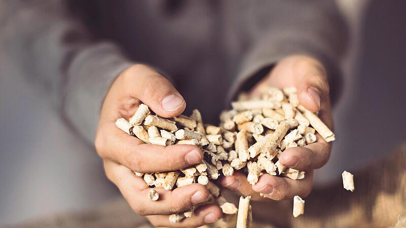 Biomasse-Heizkesselerzeuger blicken wieder optimistischer ins Jahr 2025