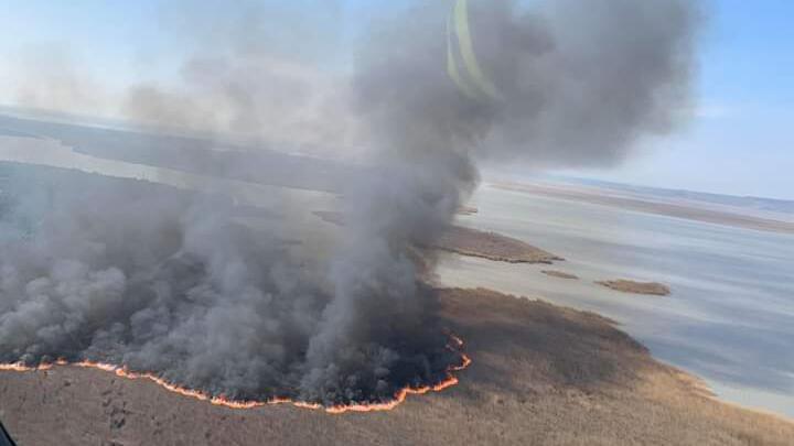 Feuer am Neusiedler See: 700 Hektar Schilf vernichtet