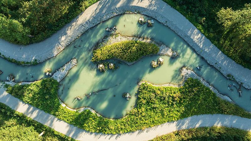 Freier Fluss nach 70 Jahren: Fische können am Kraftwerk vorbeischwimmen