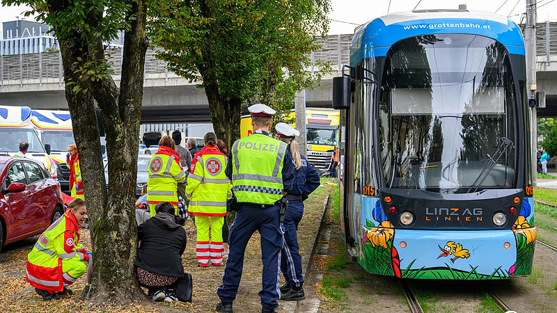 Samariterbund, Rotes Kreuz, Polizei und Feuerwehr standen im Einsatz.