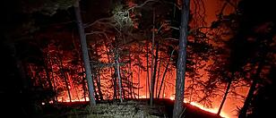 Waldbrand bei Graz