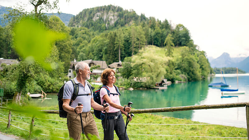 Senior pensioner couple with nordic walking poles hiking in nature, talking.