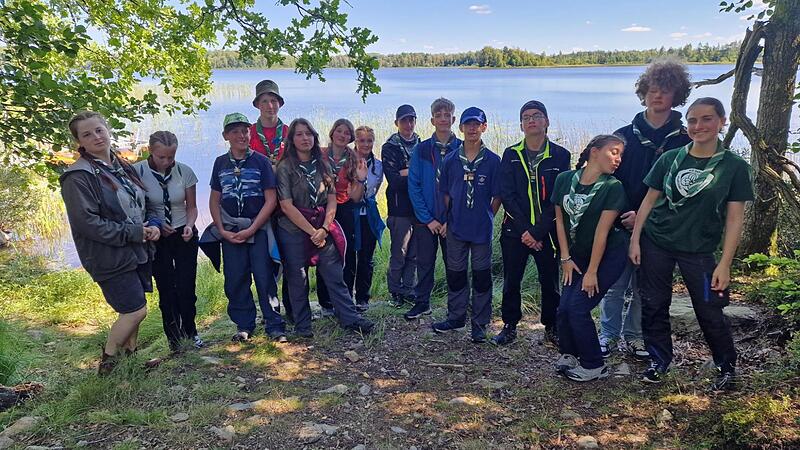 Survival in Schwedens Natur: Junge Braunauer in Wildnis auf sich gestellt