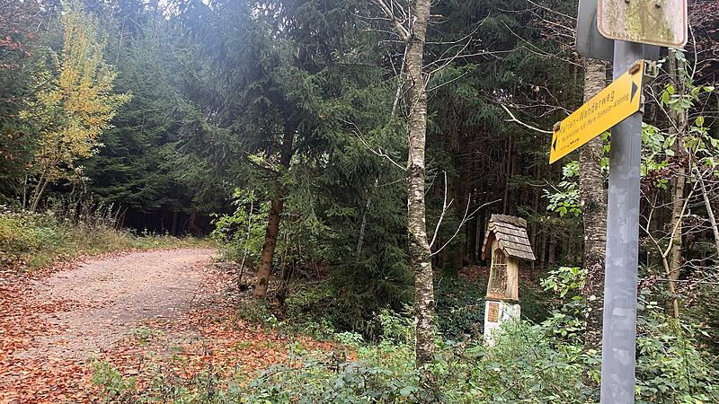 Mountainbiker wünschen sich mehr "legale Angebote"