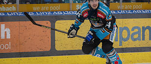 Black Wings unterlagen Fehervar 1:3