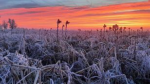 Leseraufruf Morgenstimmung