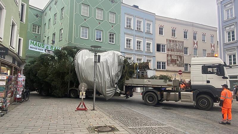 Ried hat seit gestern einen Christbaum