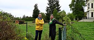 Aufregung um Baumfällungen bei Villa Nothaft in Vöcklabruck