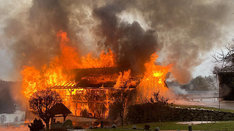 Großbrand bei Bio-Betrieb: Kräutertrocknungshalle komplett abgebrannt