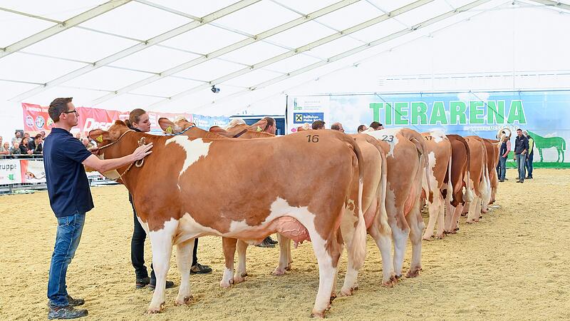 Bauern und Züchter in Sorge: Droht neue Krankheitswelle?