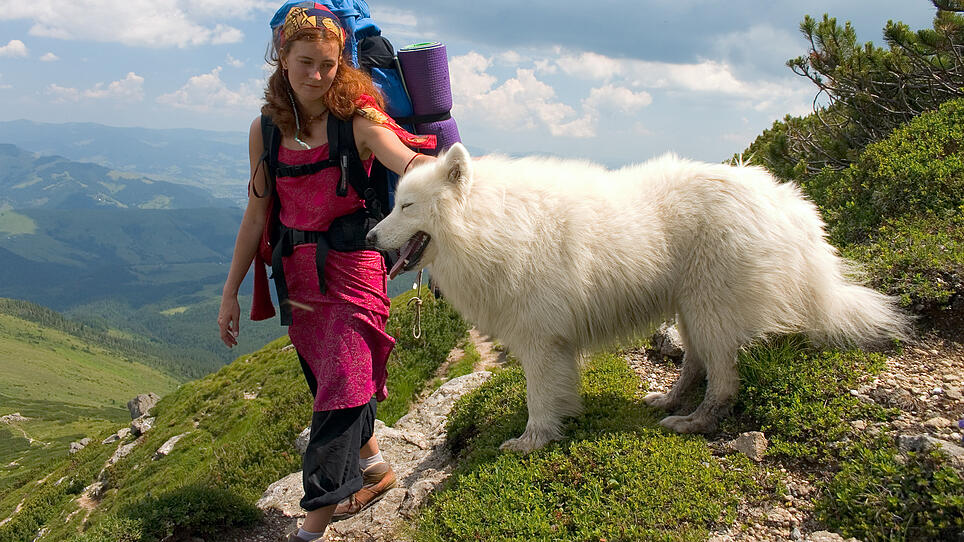 Gefahrloses Almwandern mit Hund