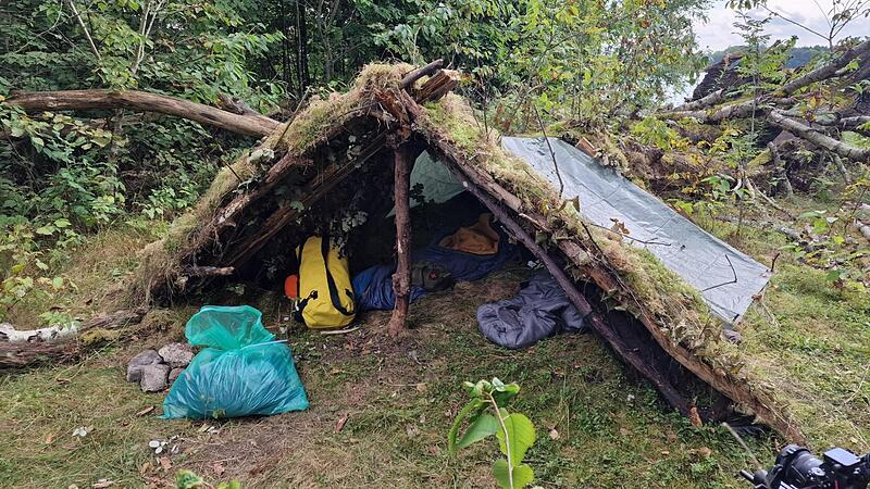 Survival in Schwedens Natur: Junge Braunauer in Wildnis auf sich gestellt