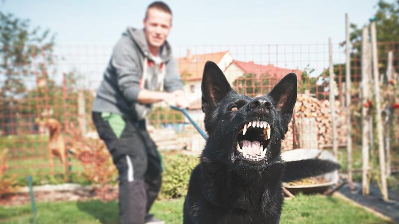 Arbeit mit "Problemhunden" war Tierquälerei