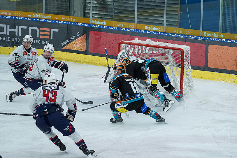 Black Wings unterlagen Fehervar 1:3