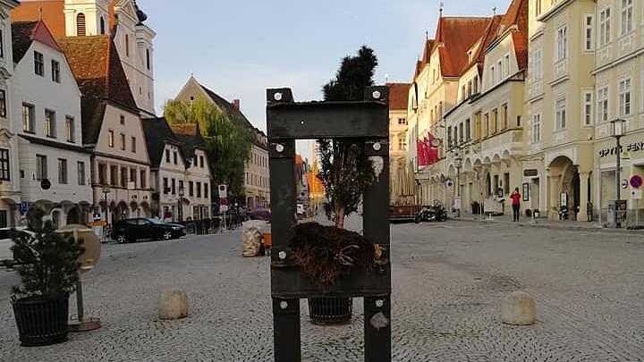 Diebe rückten mit Flex an: Maibaum brach entzwei