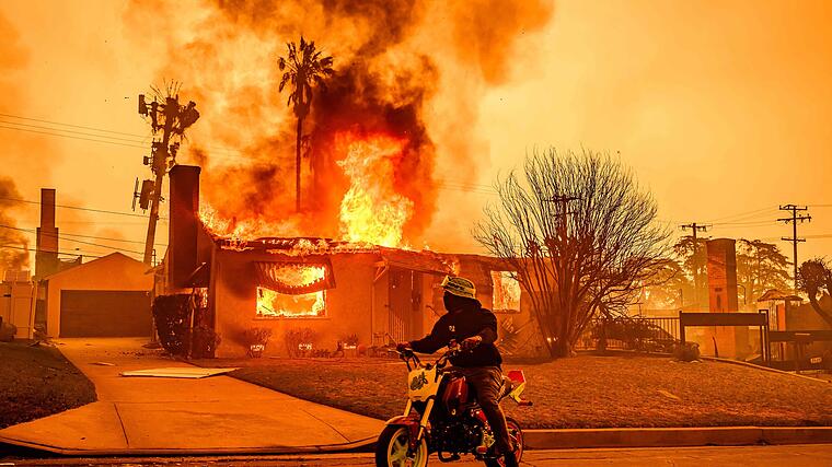 Feuerinferno: Waldbrände erschüttern Los Angeles