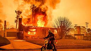 Feuerinferno: Waldbrände erschüttern Los Angeles