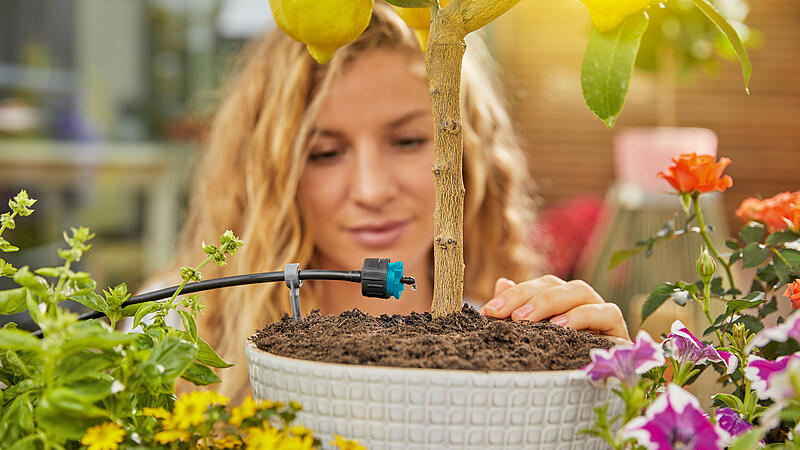 Smarte Wasserspartricks für den Sommergarten