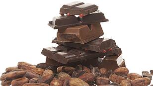 Geschichte des Kakaos