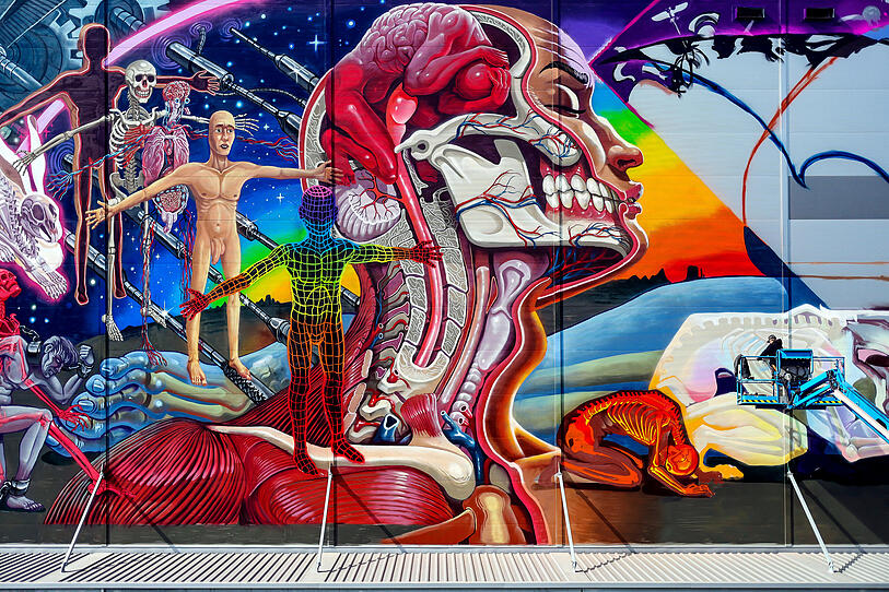 Linzer Mural Harbor: Das sind die neuen Graffitis