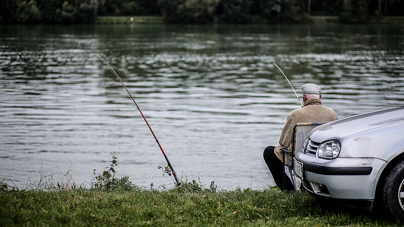 Donau, Linzer Hafen, Pleschinger See: Begehrtes Fischereirecht wird verkauft