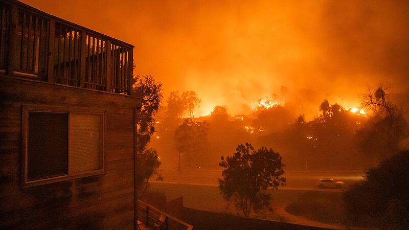 Feuerinferno: Waldbrände erschüttern Los Angeles