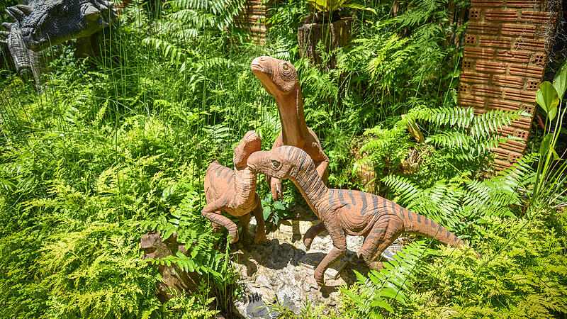 Dinosaur park / different species dinosaur statue in the fern ga