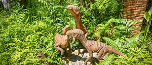 Dinosaur park / different species dinosaur statue in the fern ga