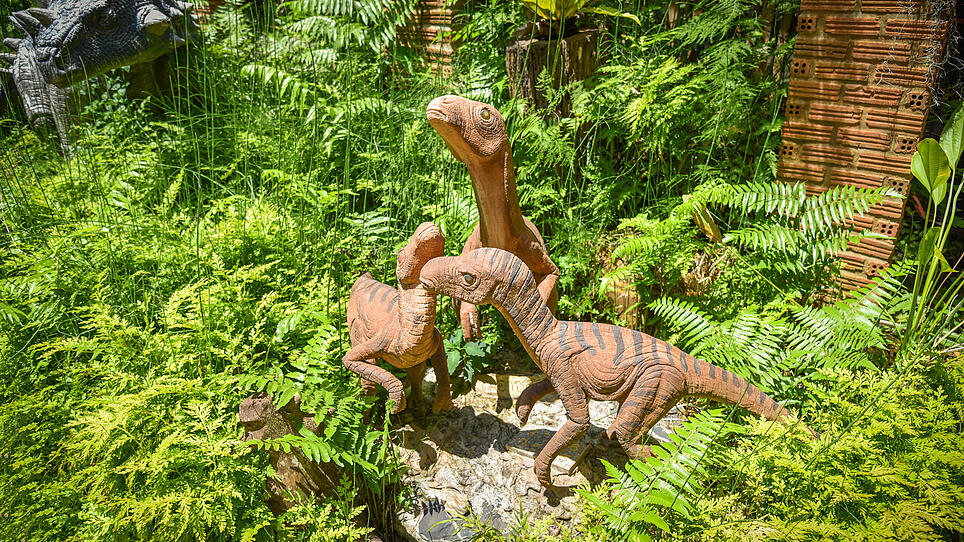 Dinosaur park / different species dinosaur statue in the fern ga