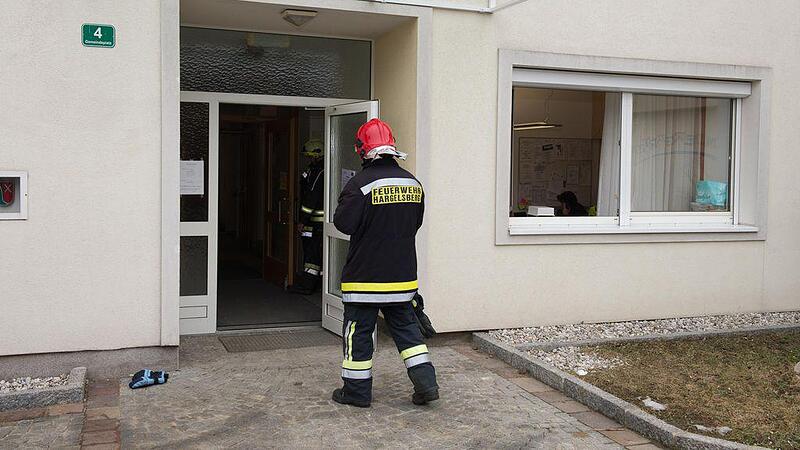 Gasgeruch in Volksschule Hargelsberg: 110 Kinder in Sicherheit gebracht