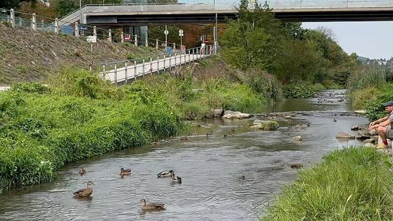 Radweg und Renaturierung