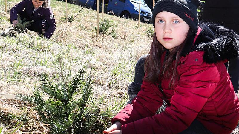 Volksschulkinder pflanzten Setzlinge für "Waldinsel"