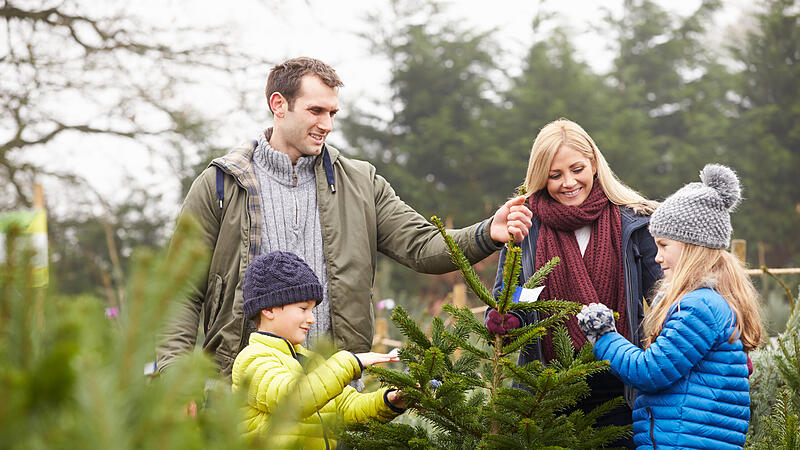 Outdoor Family Choosing Christmas Tree Together